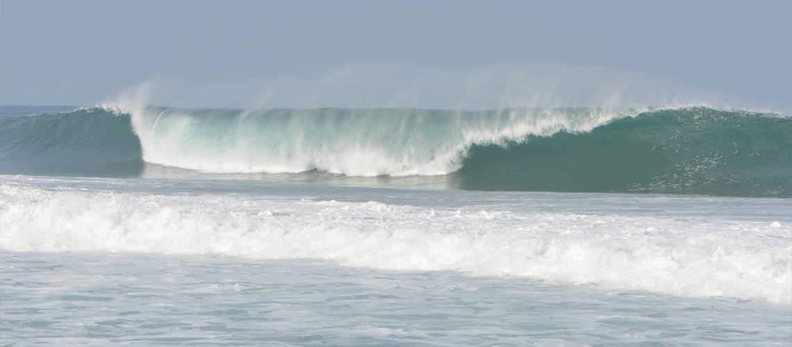 Melissa Keppens surfing story