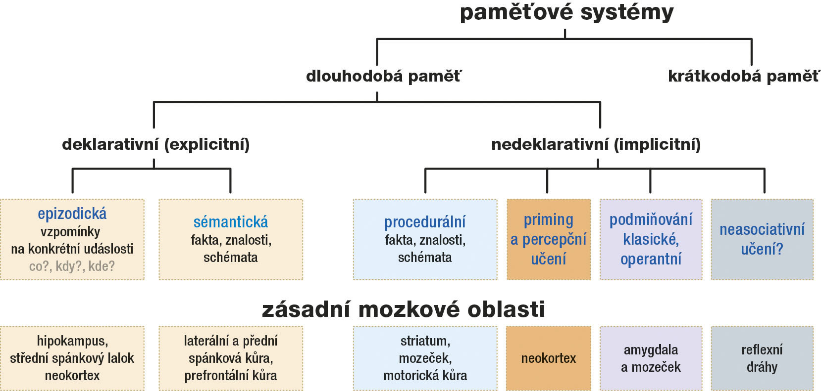 Paměťové systémy