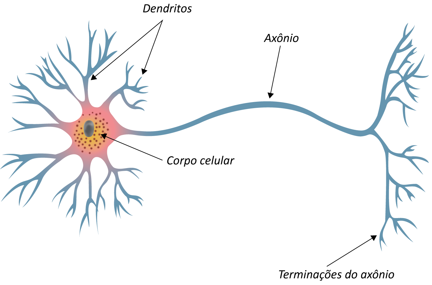 Visualizar o Inimaginável, image size:1426x941