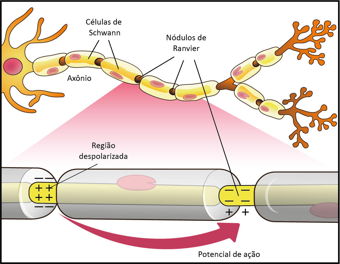 Data, Analytics, and Development Solutions for Financial Services, image size:1103x859