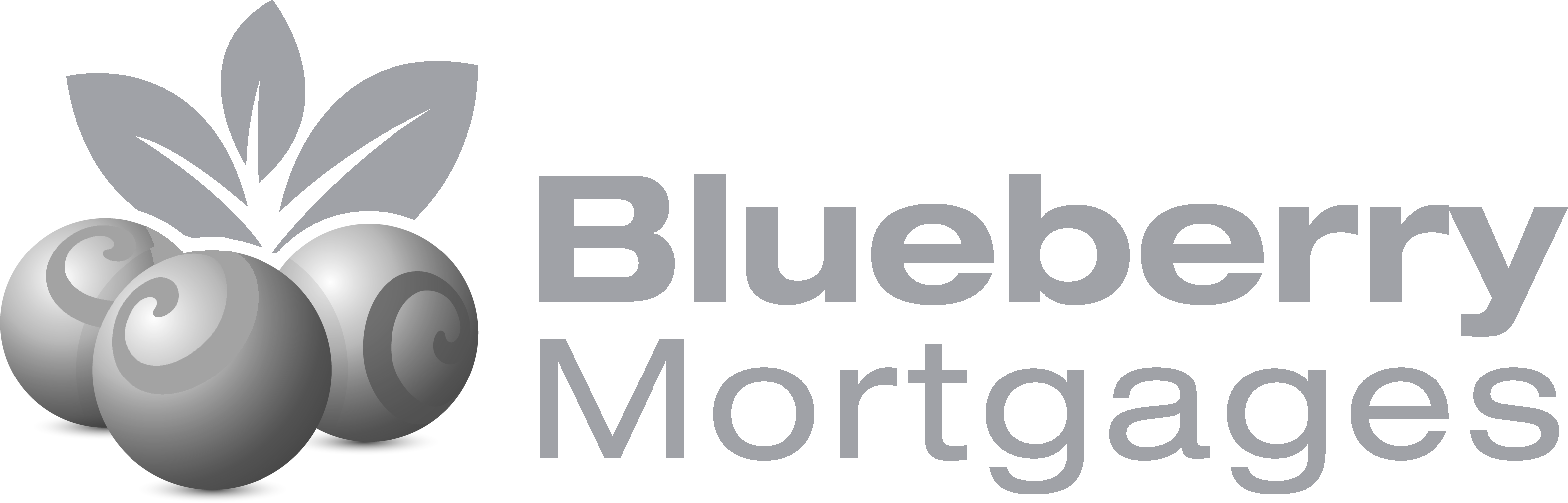 Blueberry Mortgages Logo