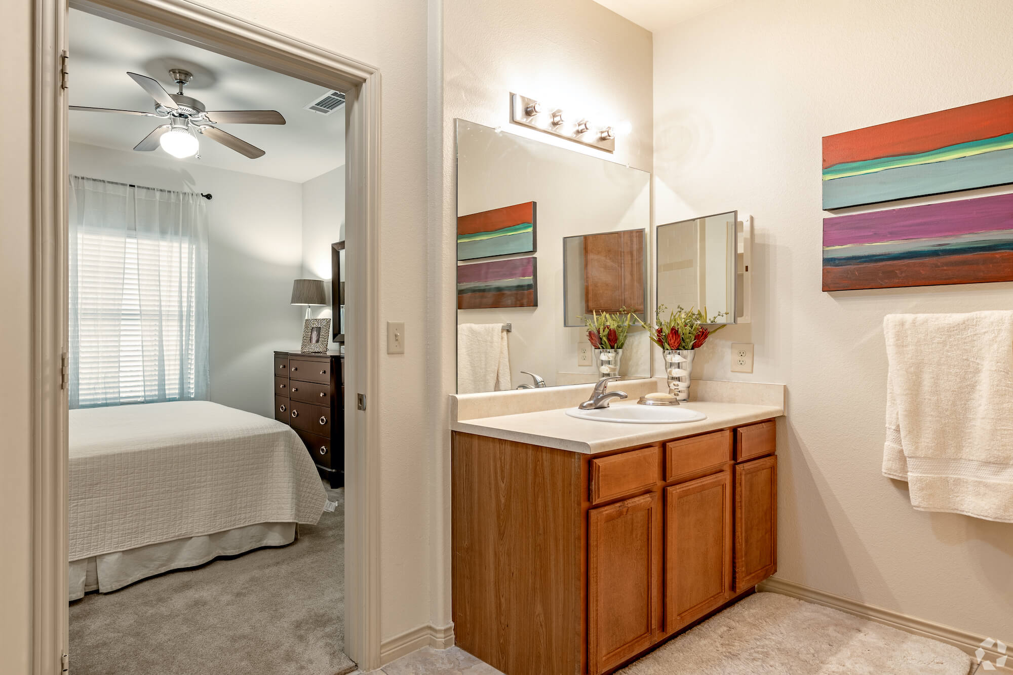 Amenities Carmel Canyon Apartments in Alamo Ranch San Antonio, Texas