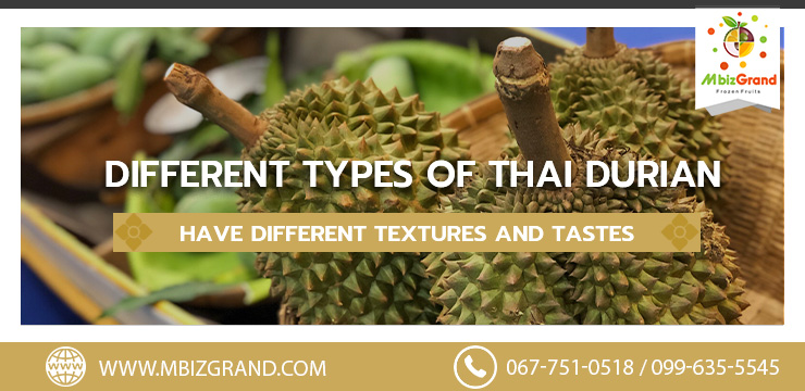 Different Types of Thai Durian Have Different Textures and Tastes