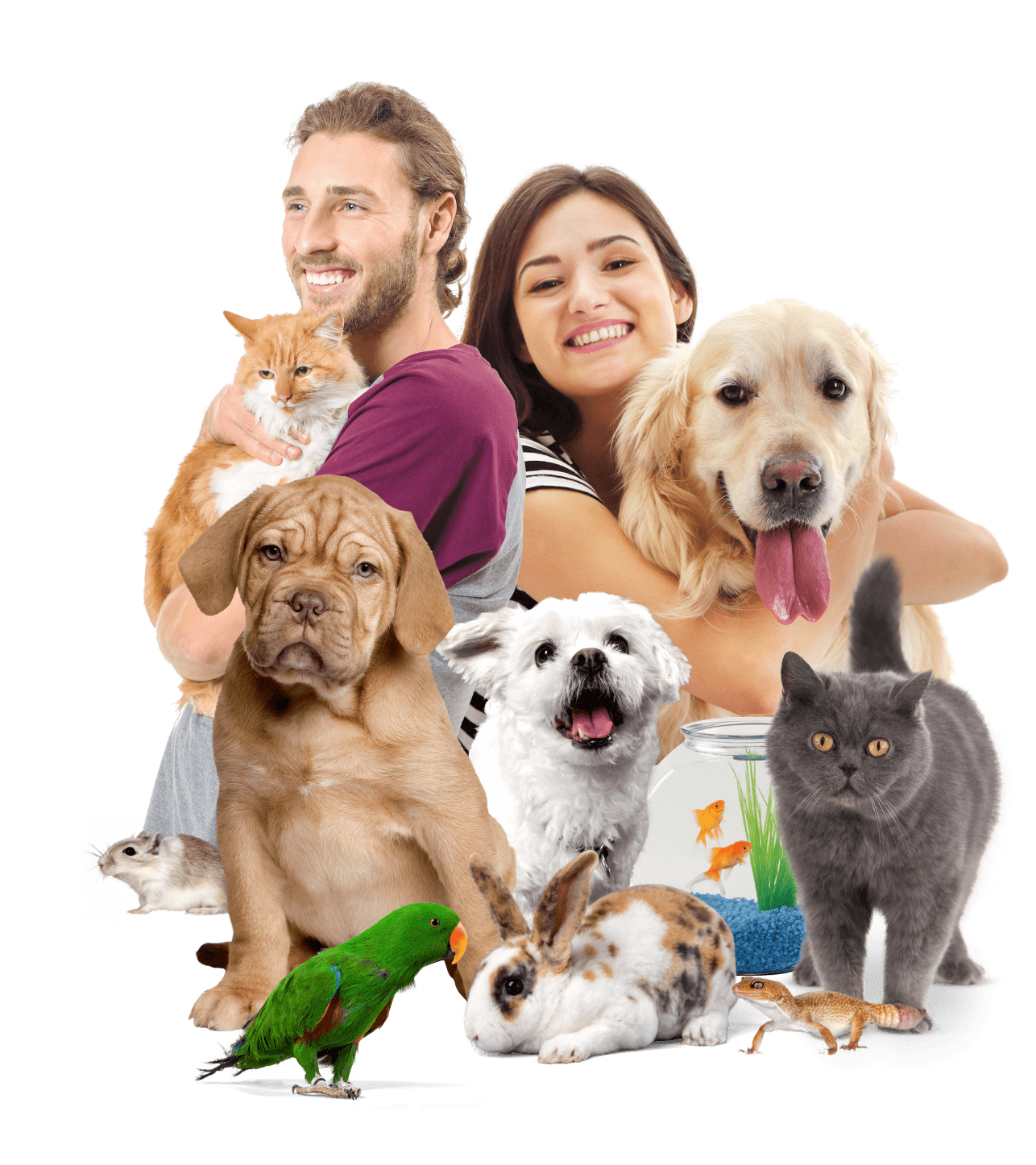 Pet Sitting Franchise Start a Pet Care Business The Pets, Homes & Gardens Company