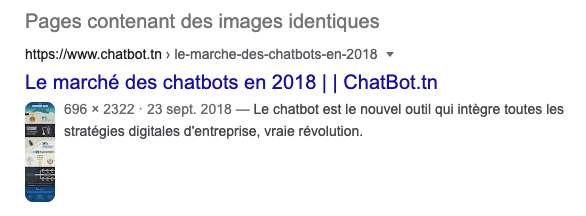 Recherche d'images Google sur une infographie Chatbot Keley inversée