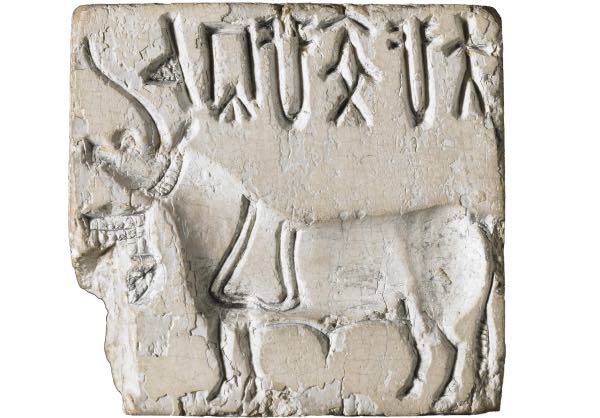 Pierre issue du site archéologique Harappa témoin du langage Indus