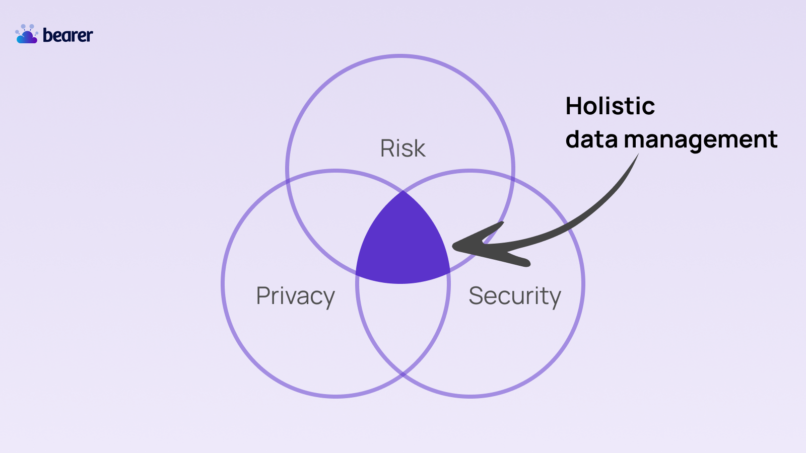 Venn diagram of the intersection of risk, privacy, and security
