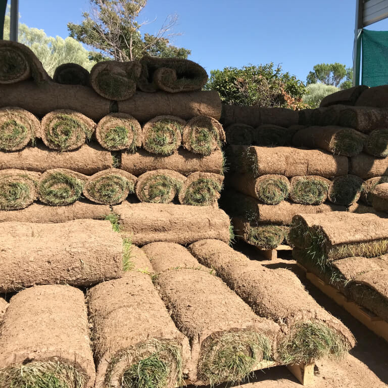 Grass lawn sod from providence property maintenance landscaping commercial snow removal