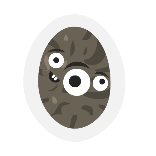 Chia Seed