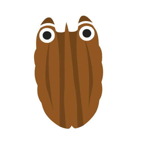 Pecan