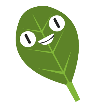 Spinach