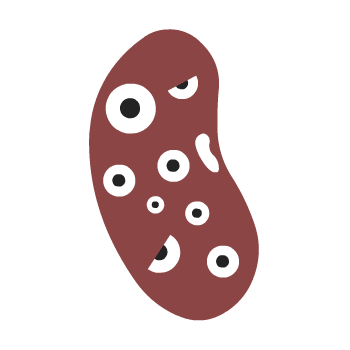Red Bean (Kidney)