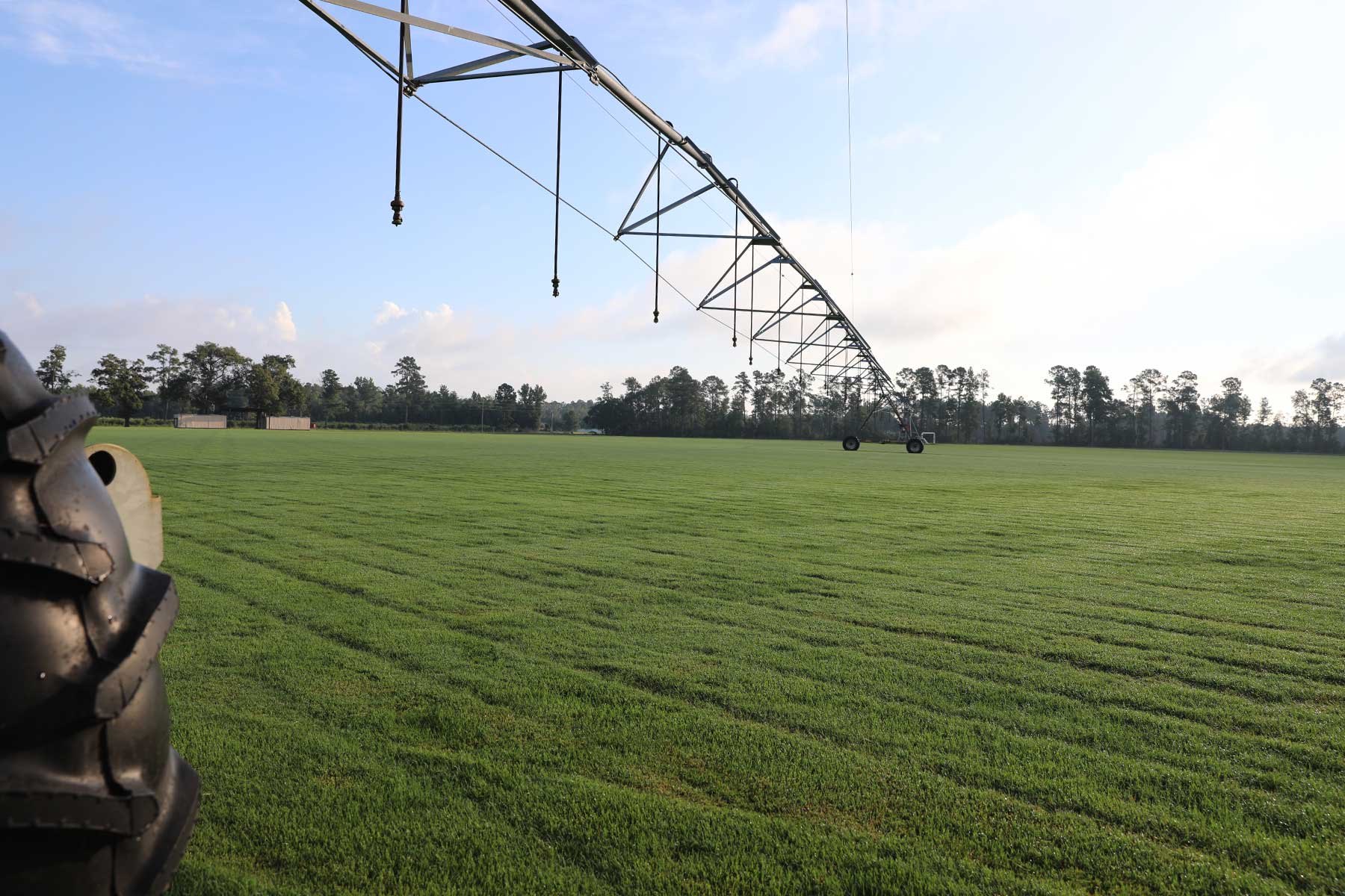 Sod Farm Aynor, SC (Myrtle Beach Area) S&R Turf & Irrigation Equipment, LLC