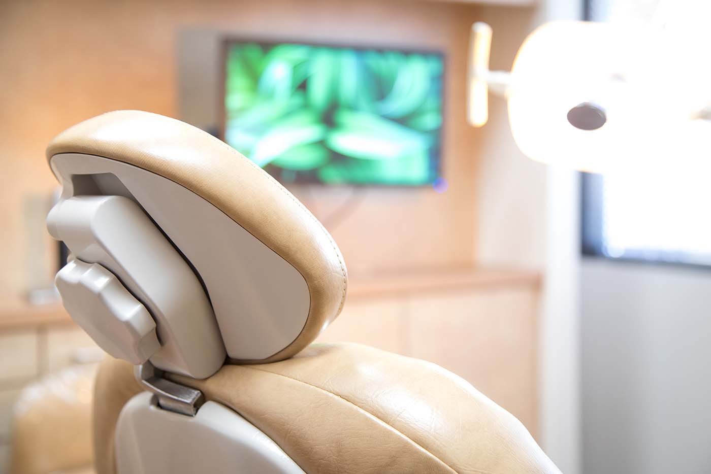 Fountain Valley Dentist Naman Zia Ebrahimi, DMD