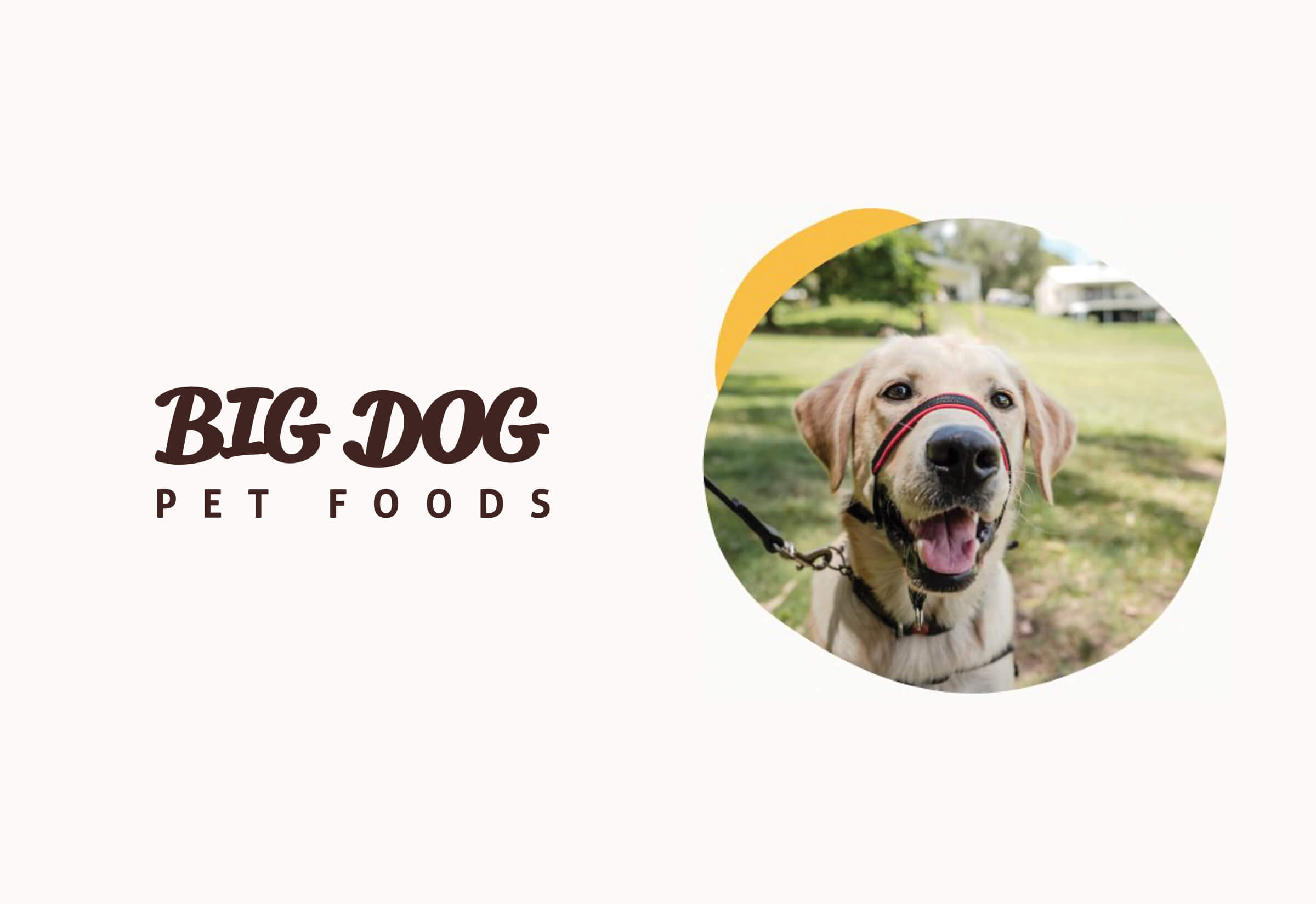 Big Dog Pet Foods The Good Studio