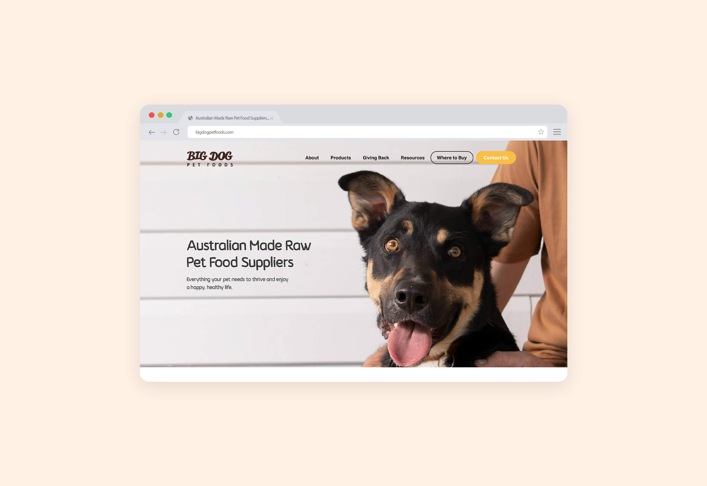 Big Dog Pet Foods The Good Studio