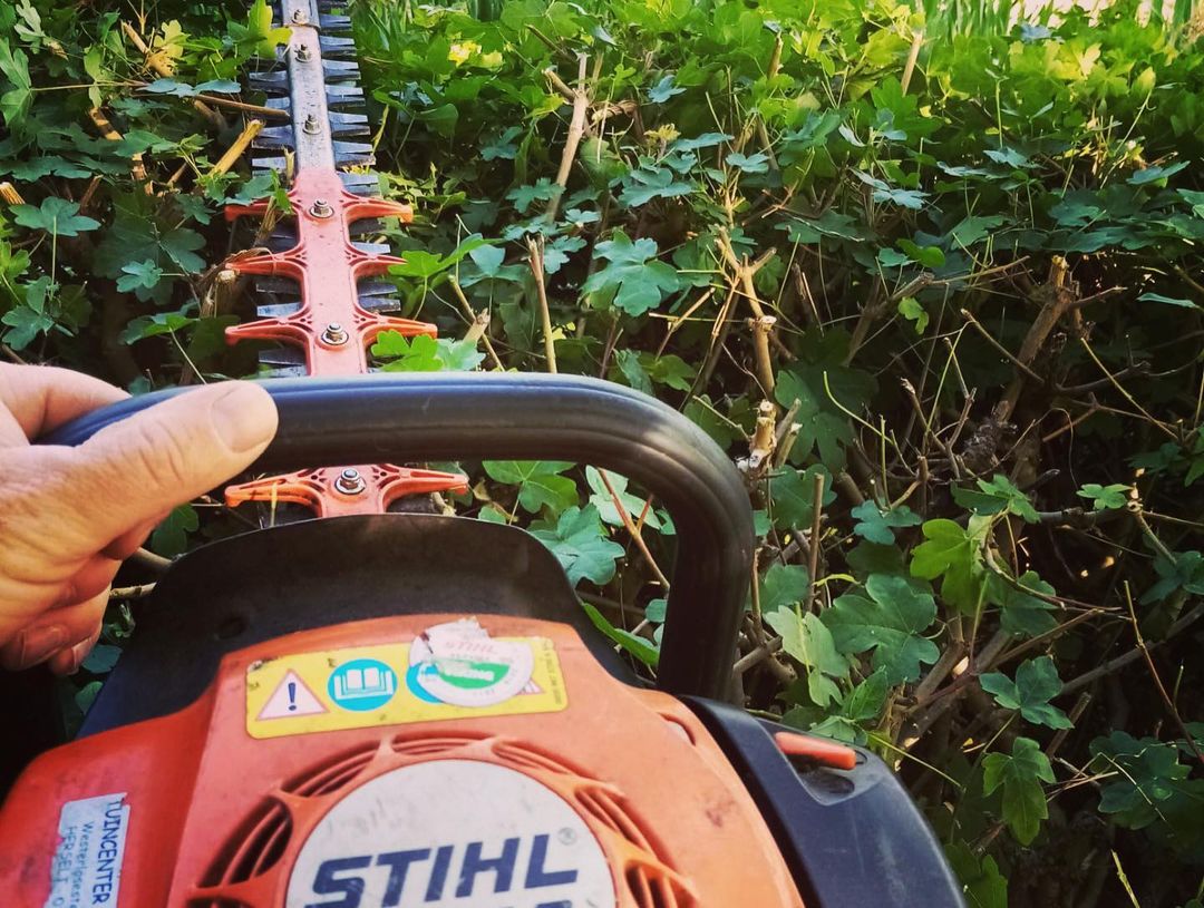 Tijdig en correct onderhoud van uw tuin