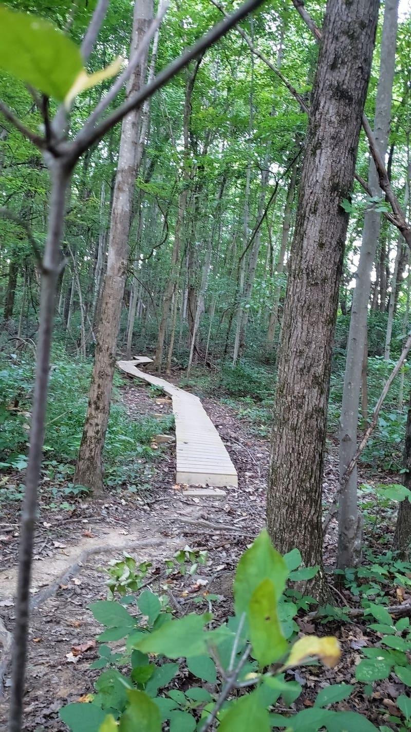 alum creek bike trails