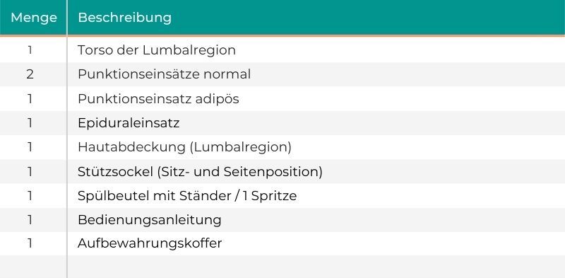 Lumbalpunktion-Simulator -Basic Set