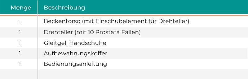 Prostata Untersuchungssimulator