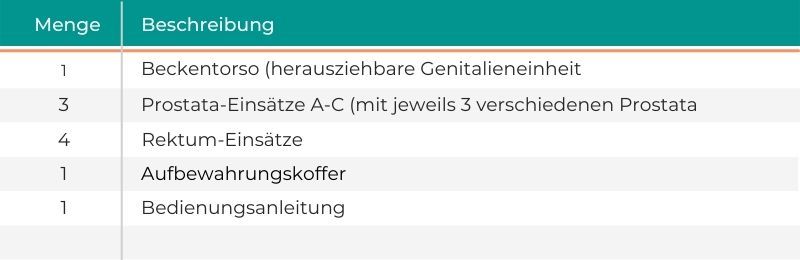 Prostata & rektaler Untersuchungssimulator