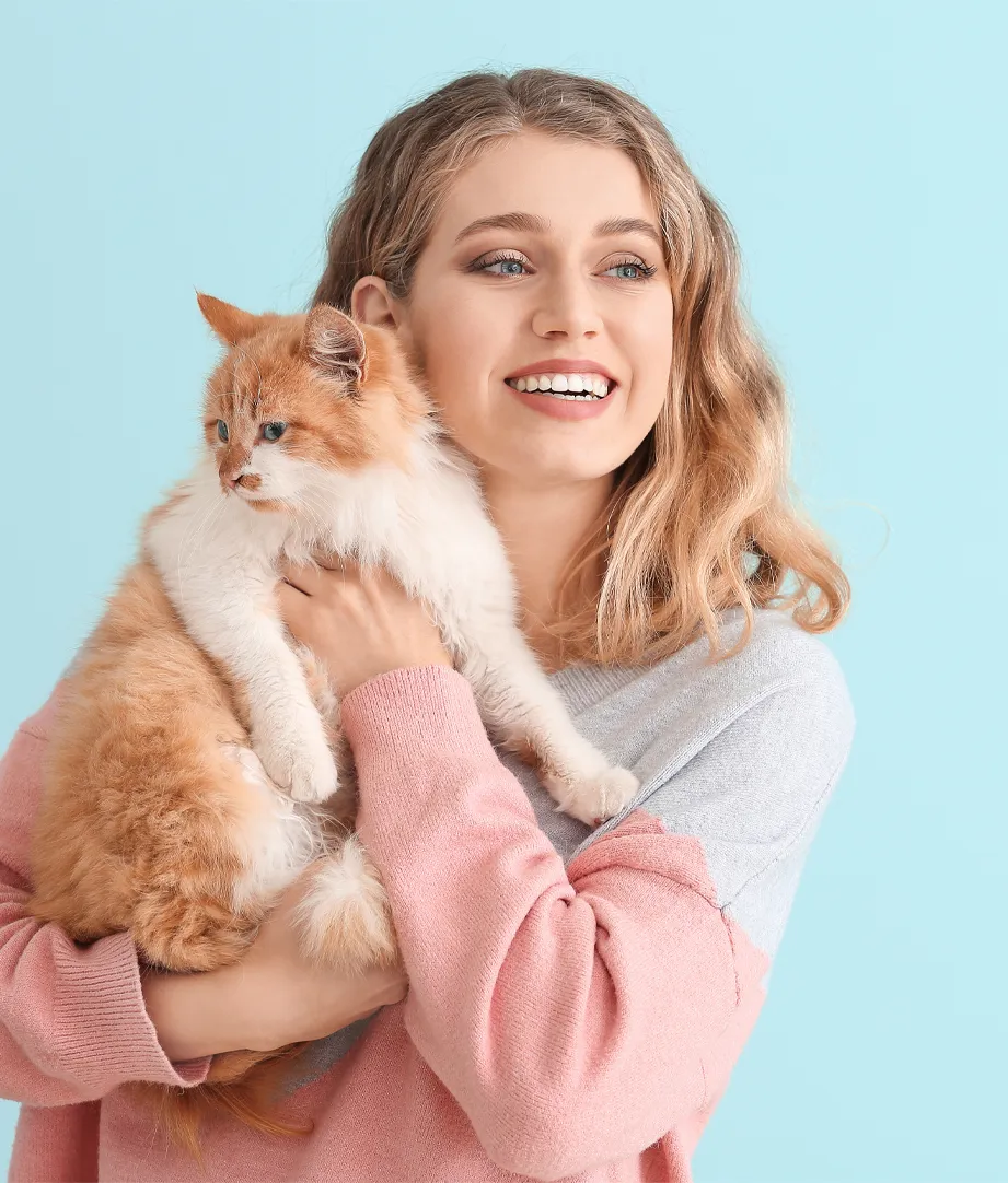 Home Brontosaurus Pet Store Coffs Harbour