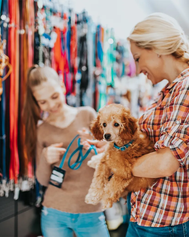 Pet Care Advice & Tips Brontosaurus Coffs Harbour