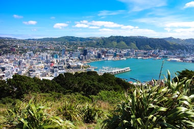 View of Wellington, New Zealand