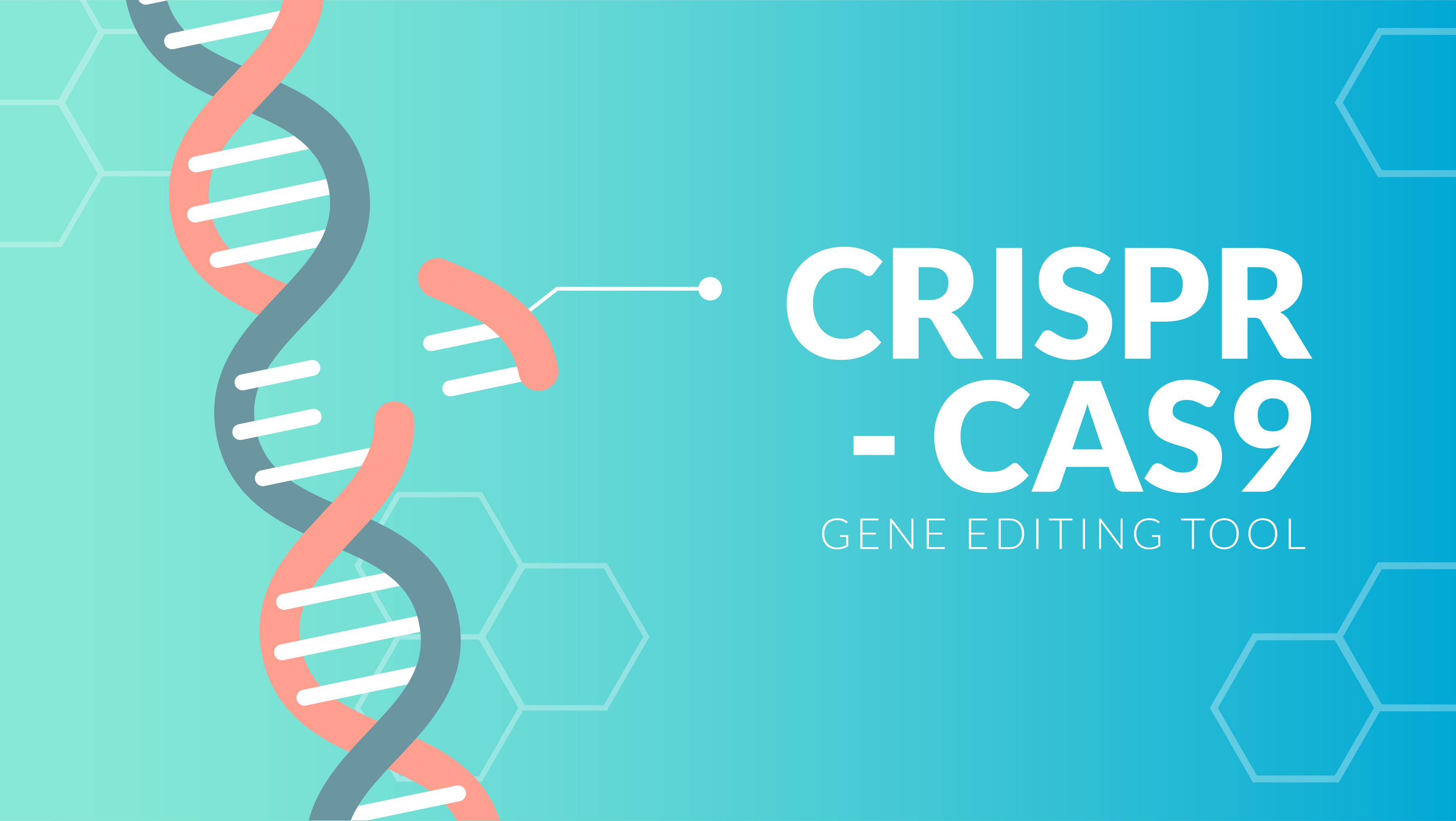 CRISPR/Cas9