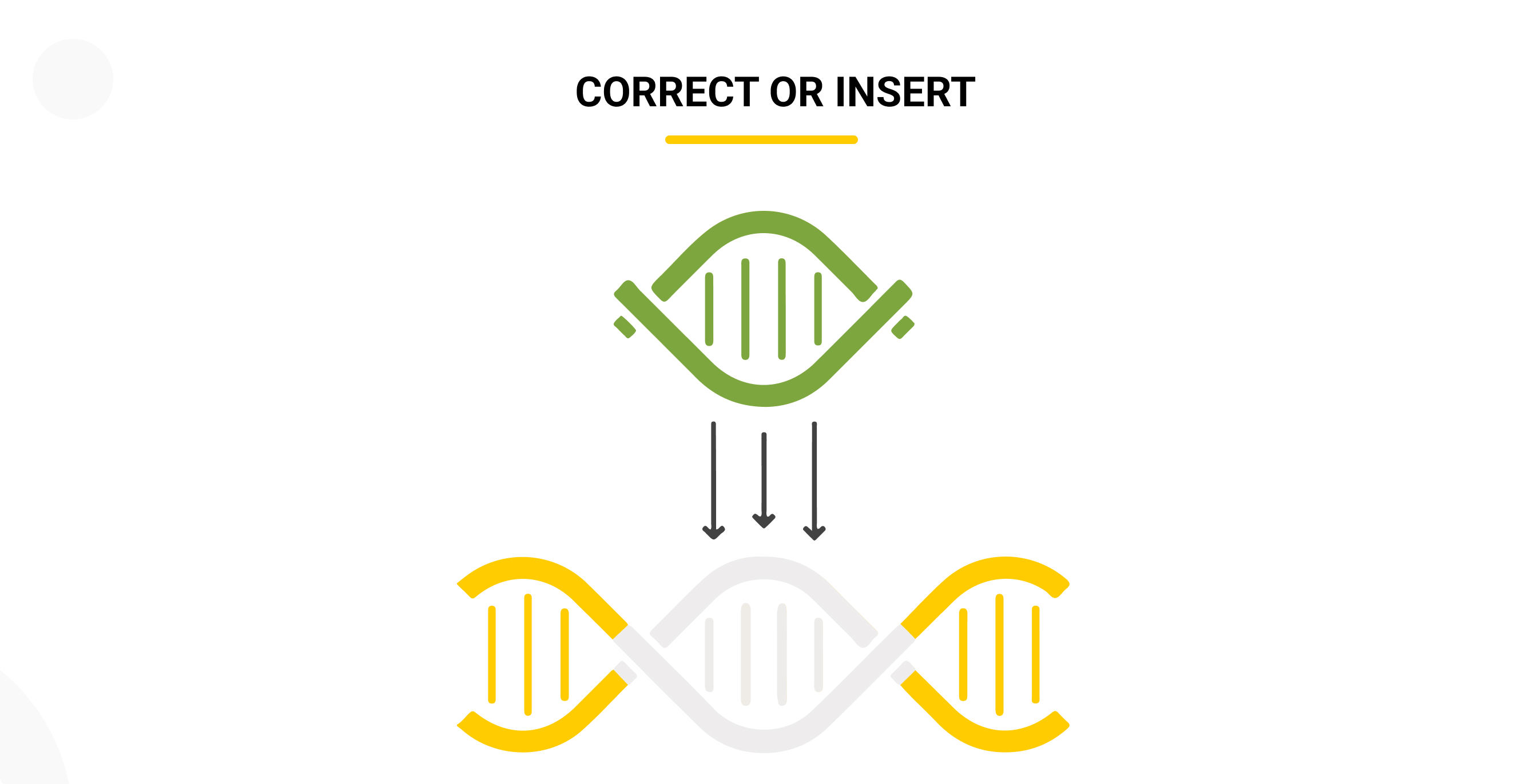 CORRECT OR INSERT