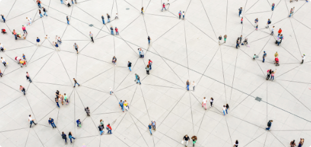 Organizational complexity