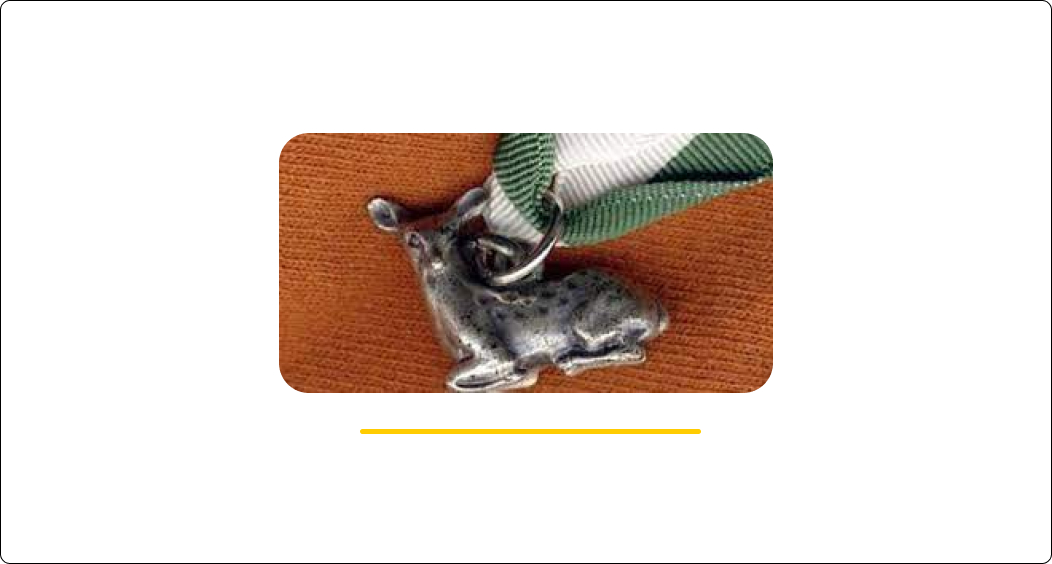 Silver Fawn Award