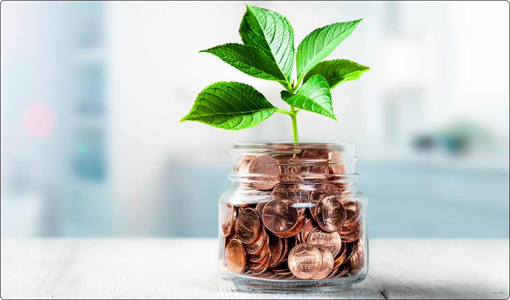 Plant Your Money Tree
