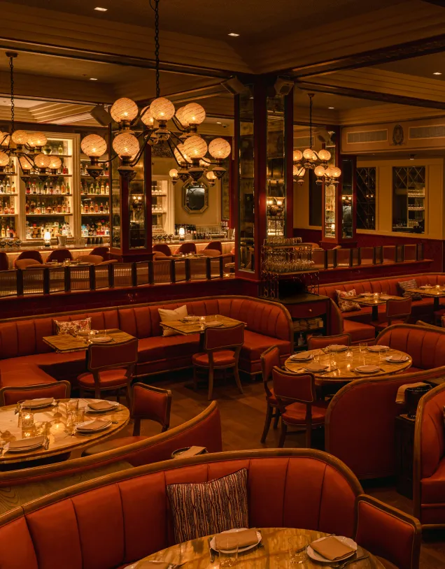 Mother Wolf Interior