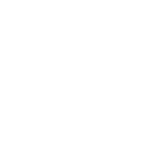 Safety Icon