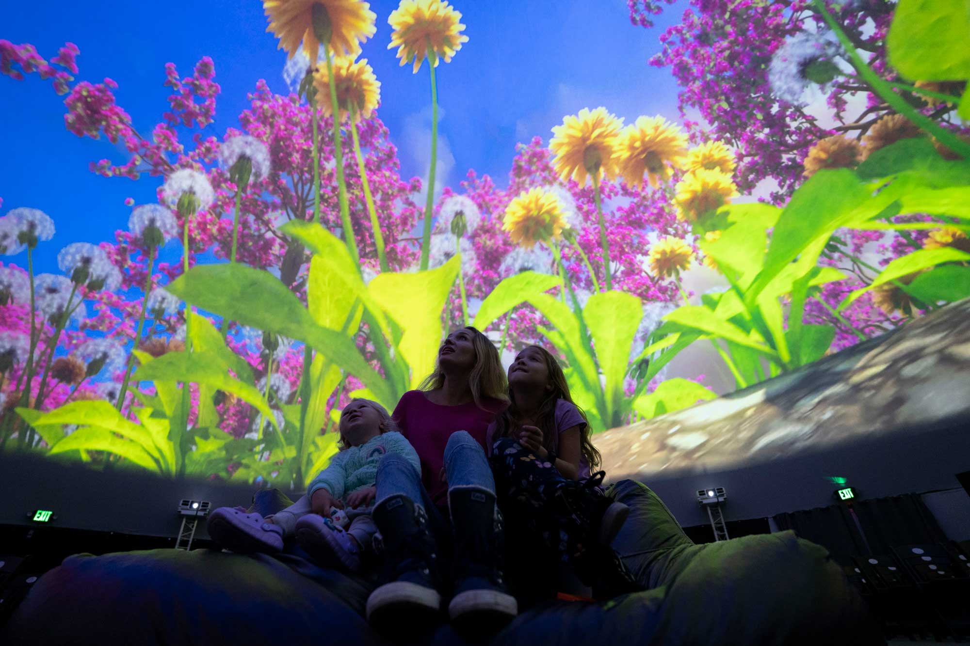 Wonderome | Australia's Largest Cinema Dome