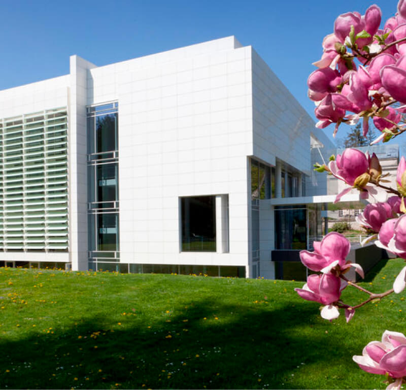 Museum Frieder Burda in Baden Baden