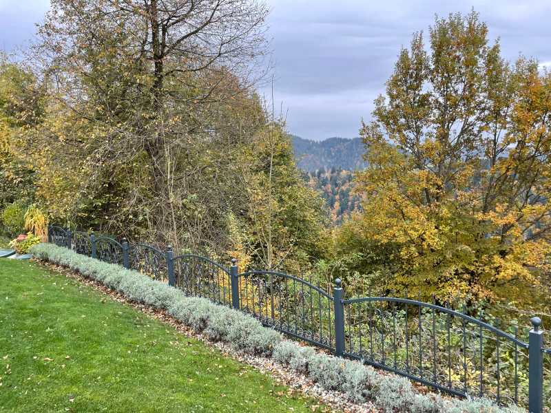 Kovinske ograje Koležnik