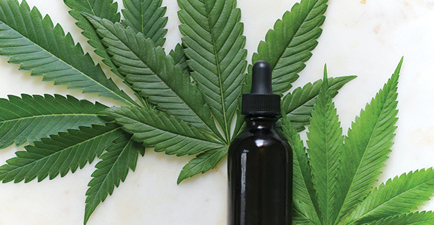 9 Cannabis Conferences You Need to Attend in 2022