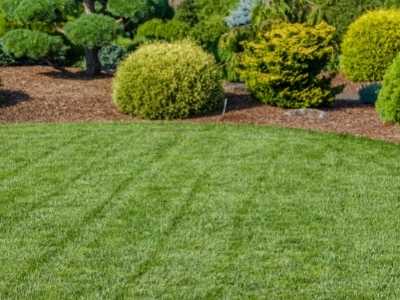 artificial turf lawn