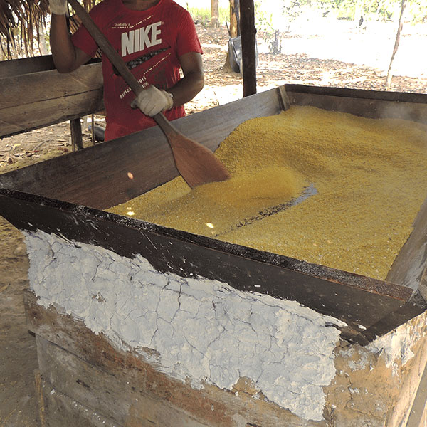 Indigenous community member working in Jari Valley