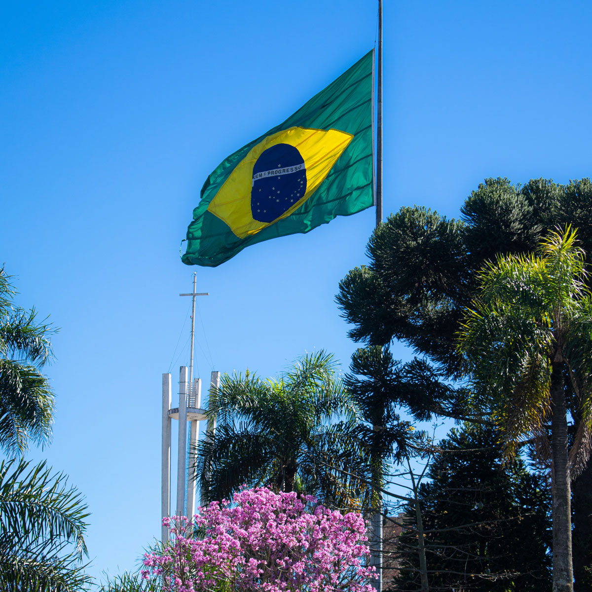 A Brazilian flag waving in the wind with trees and plants in the background