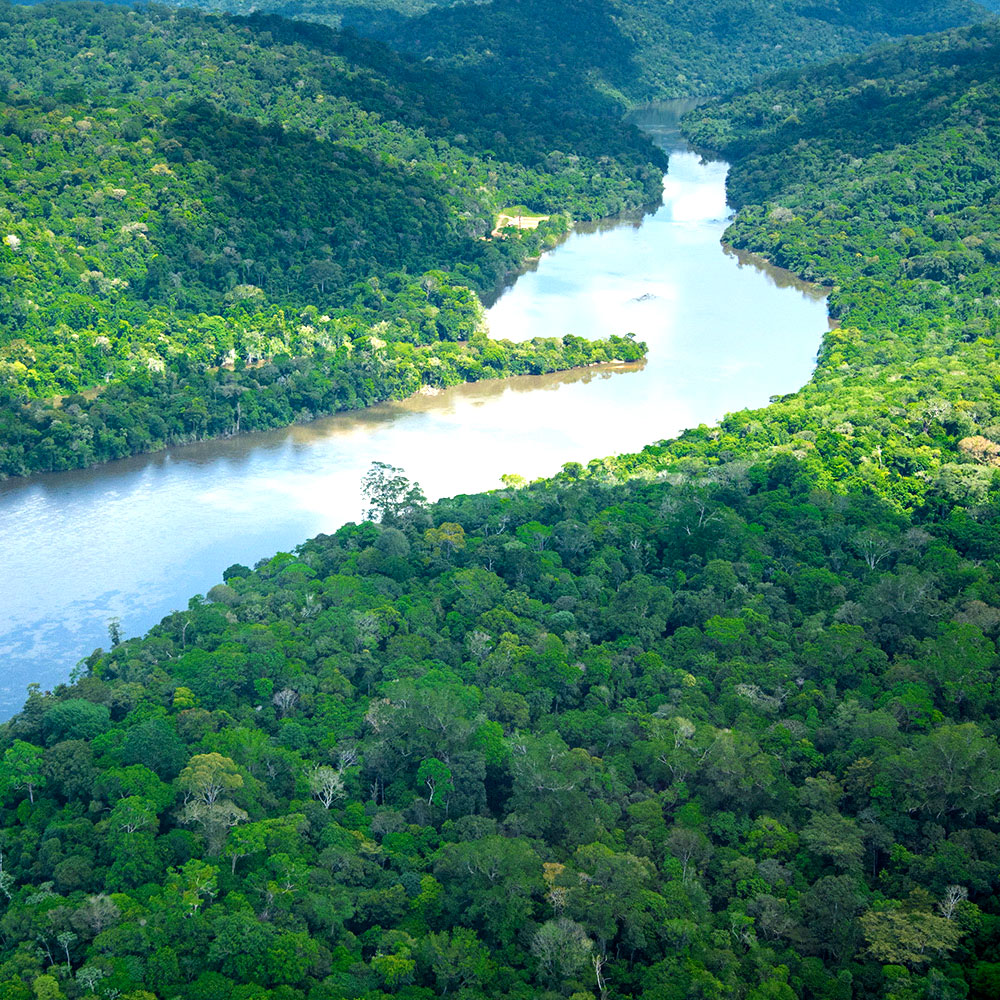 An arial view of the river running through the Jari Valley