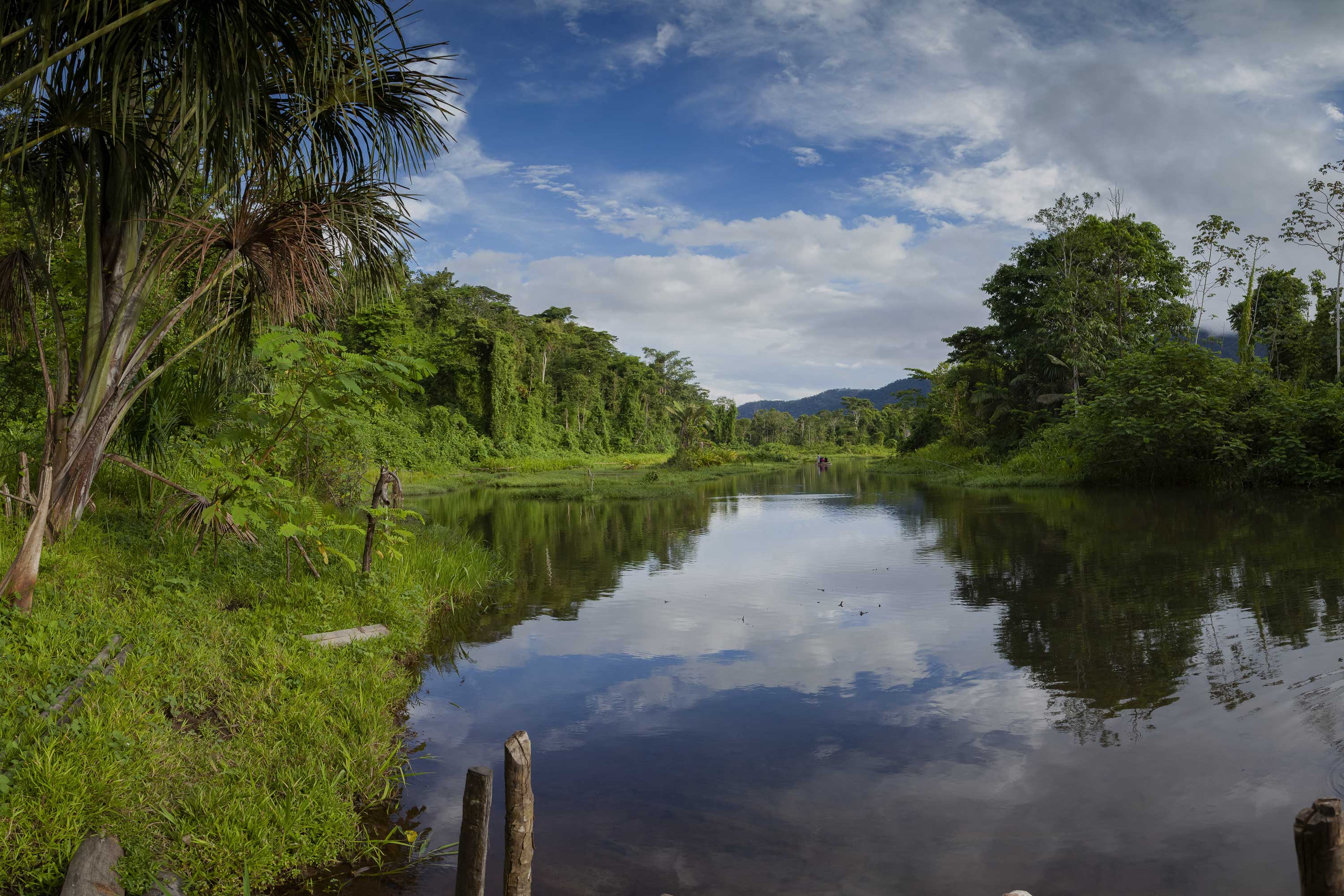Looking down the river with  dense forestry on both banks and small boat in the distance