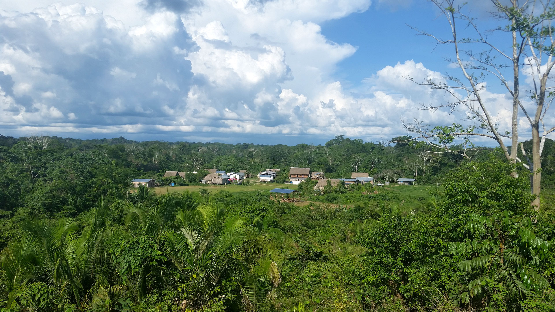 A forest clearing with several wooden buildings on stilts