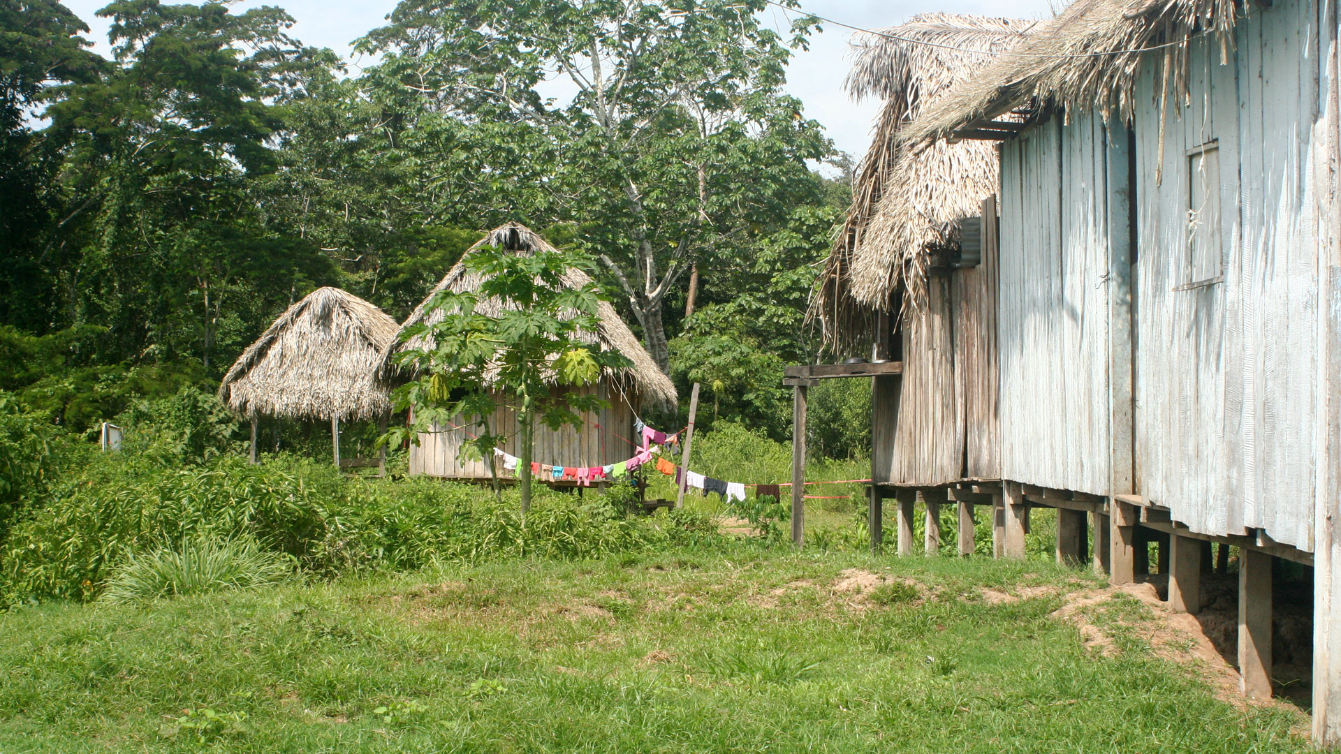 Wooden huts on stilts with straw roofing