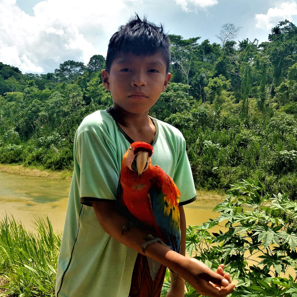 Young boy holding a red parrot on his arm next to the river