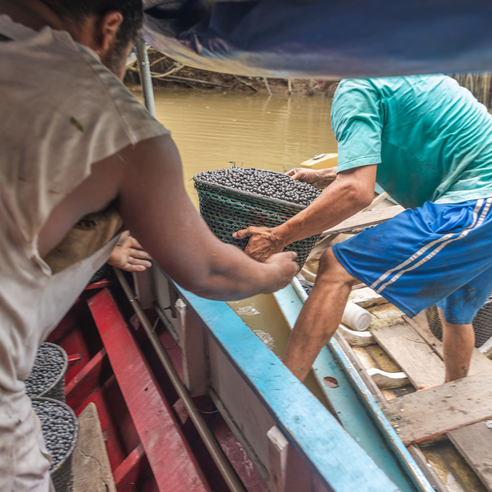 Two men unloading a boat with produce on the river