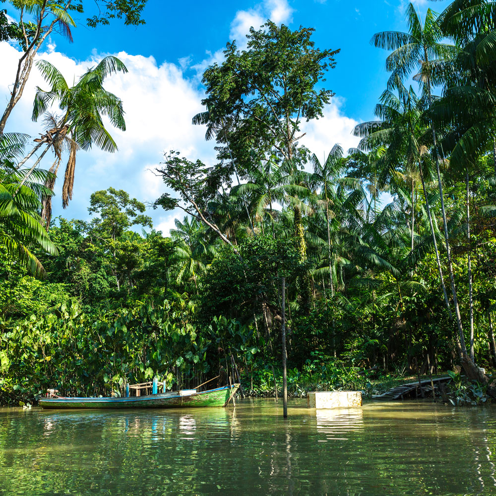View of the Amazon river with boats and green forest in the background