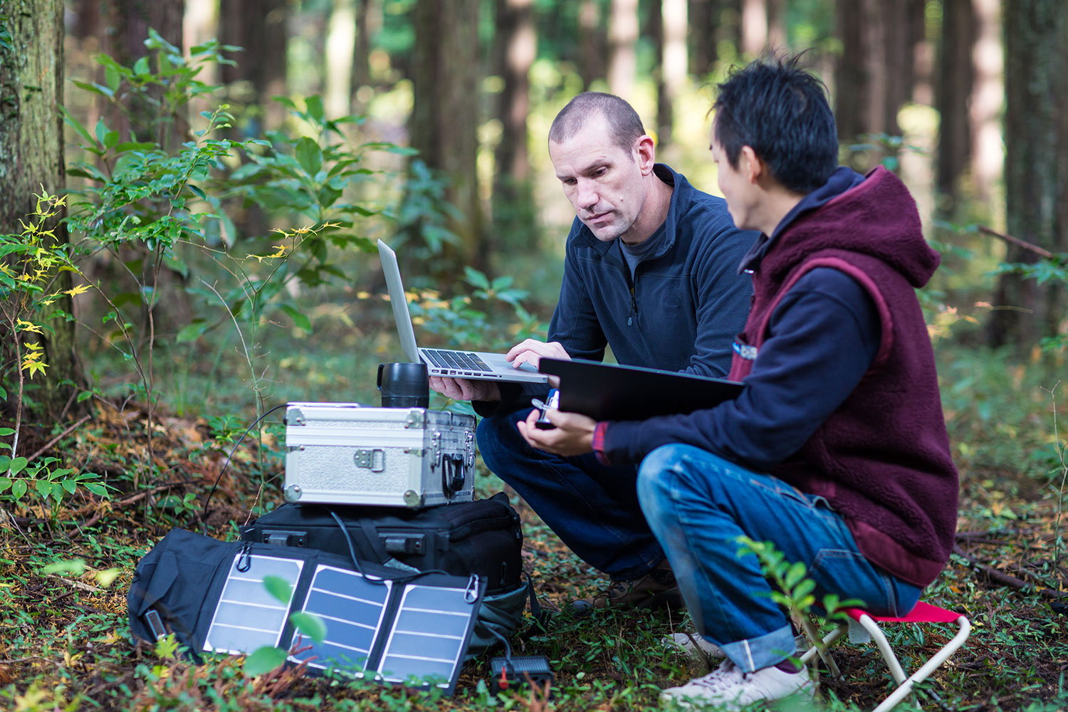 Two forest managers using laptops and data collection equipment in a forest.